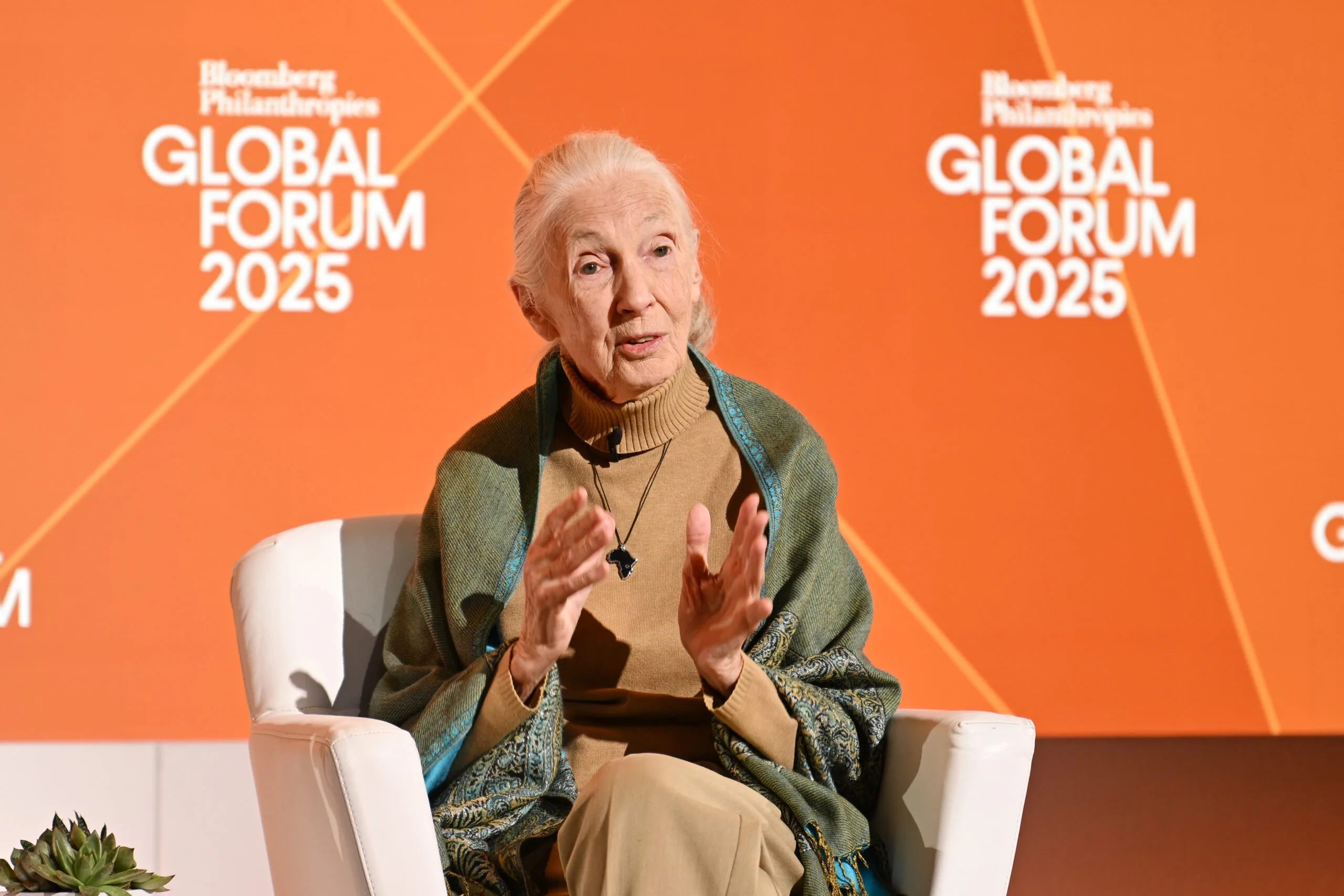 dr jane goodall