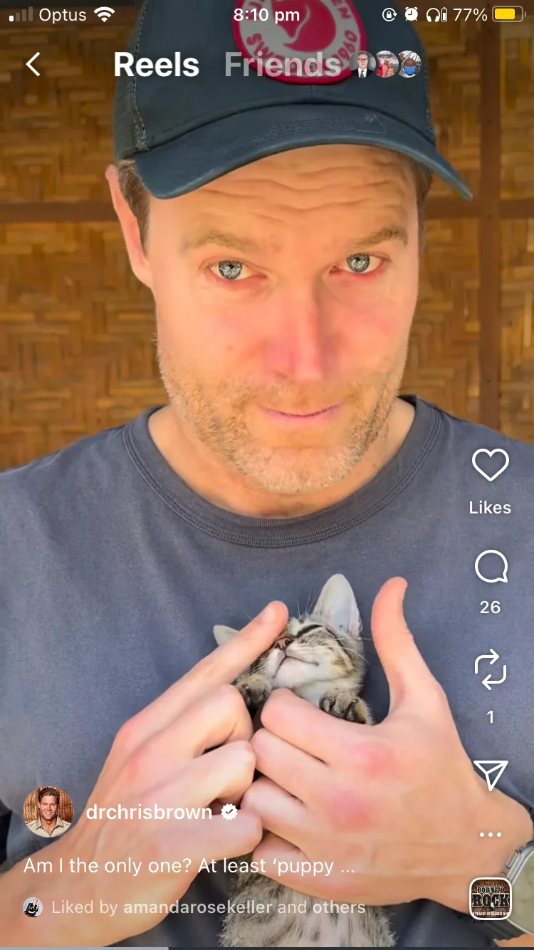 Dr Chris Brown with a kitten
