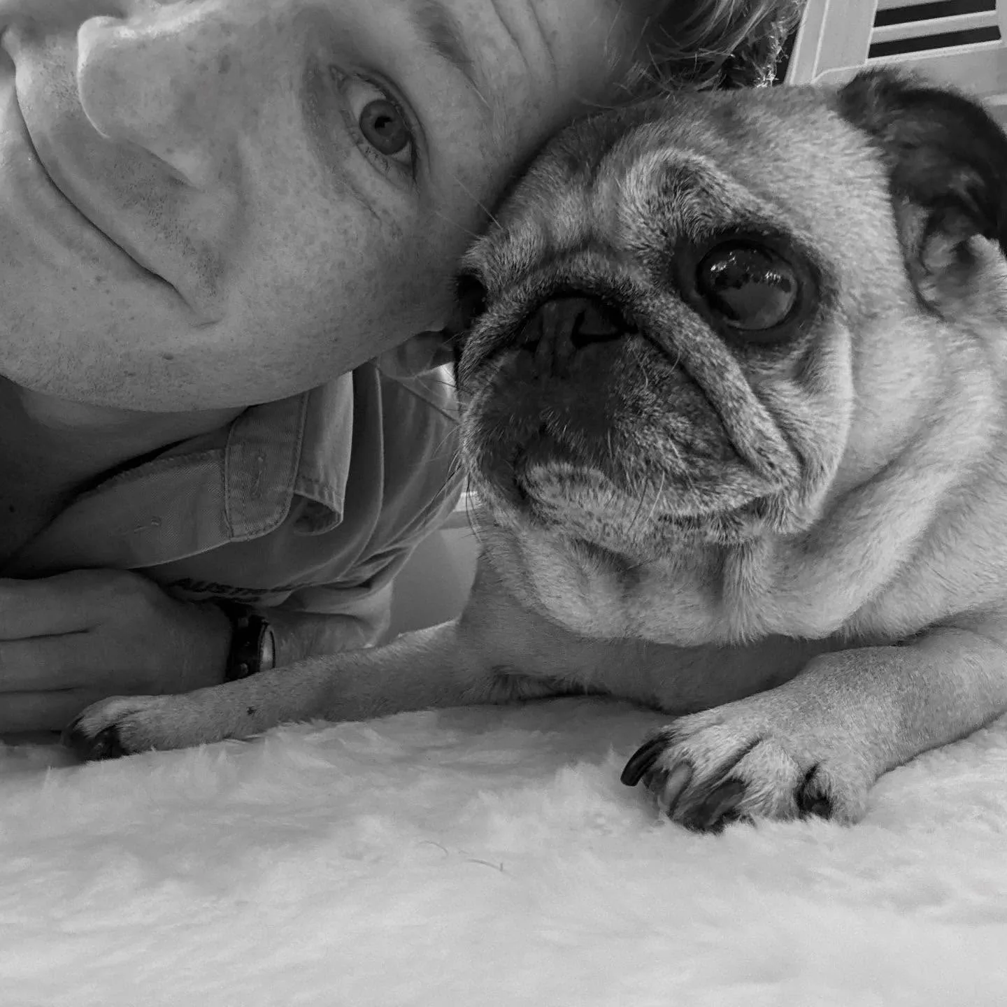 Robert Irwin and dog Stella