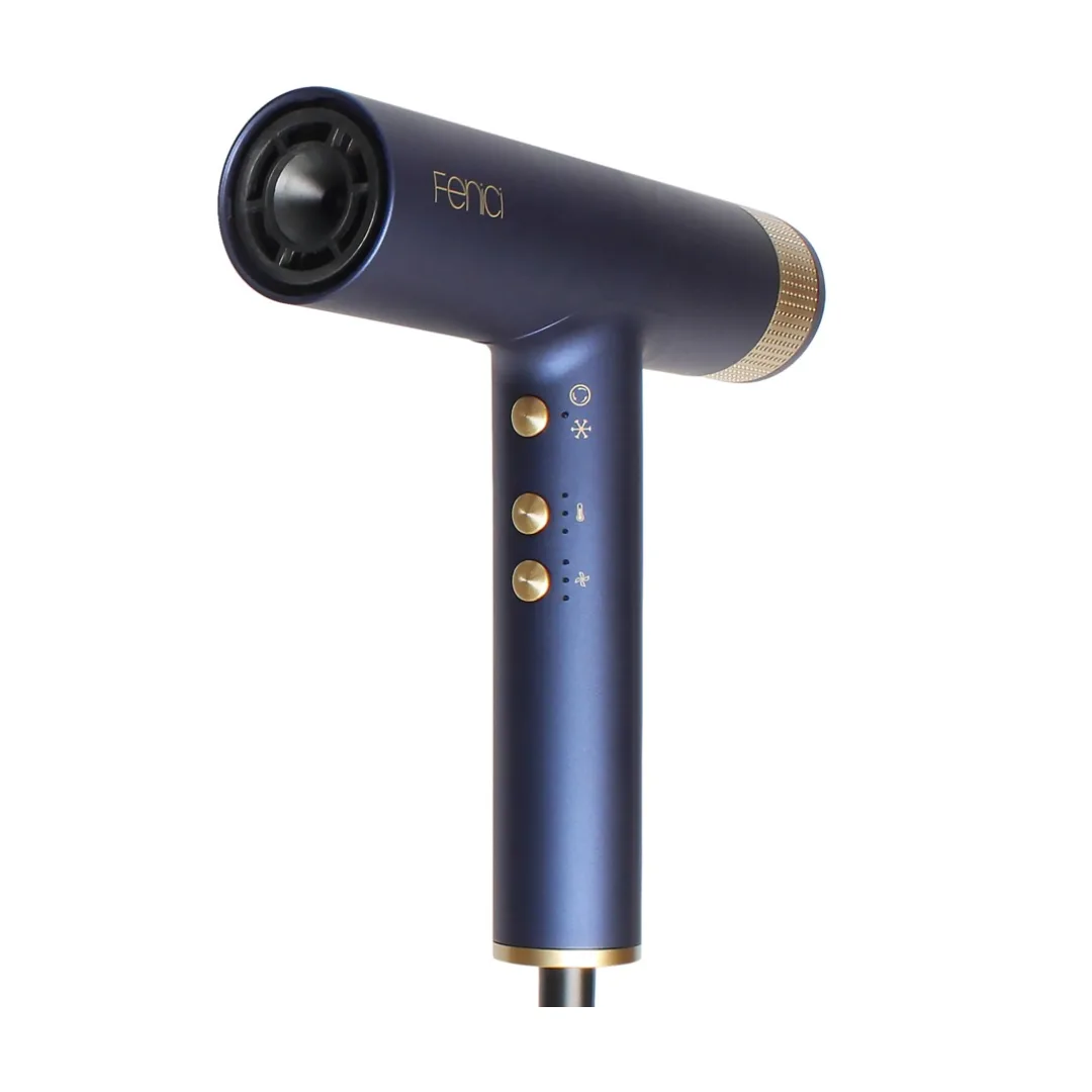 FENICI Hair Dryer and Styling Kit
