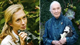 Renowned chimpanzee expert Jane Goodall’s cause of death revealed