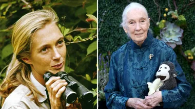 jane goodall