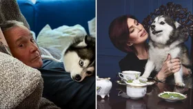 Sharon Osbourne suffers another heartbreak after Ozzy&rsquo;s death