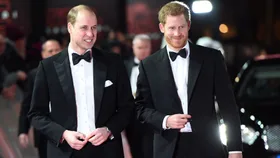 Prince William makes rare comment about brother: “Harry and I…”