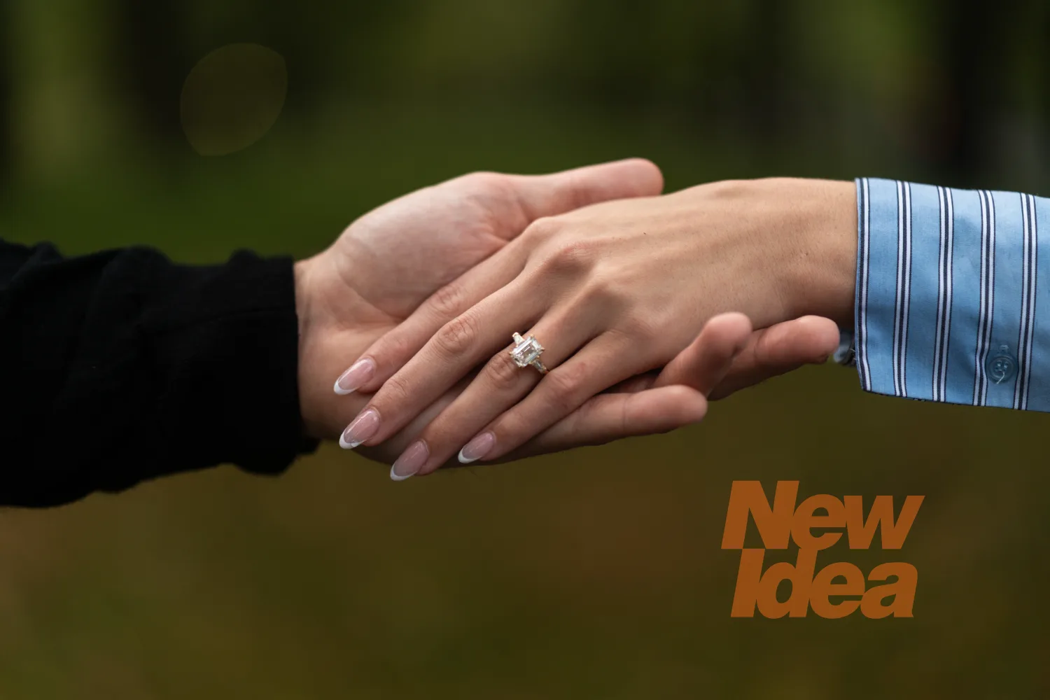 My Kitchen Rules Michael Rielli