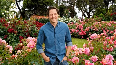 EXPERT ADVICE: Charlie Albone shares how to ‘rose’ to the occasion!