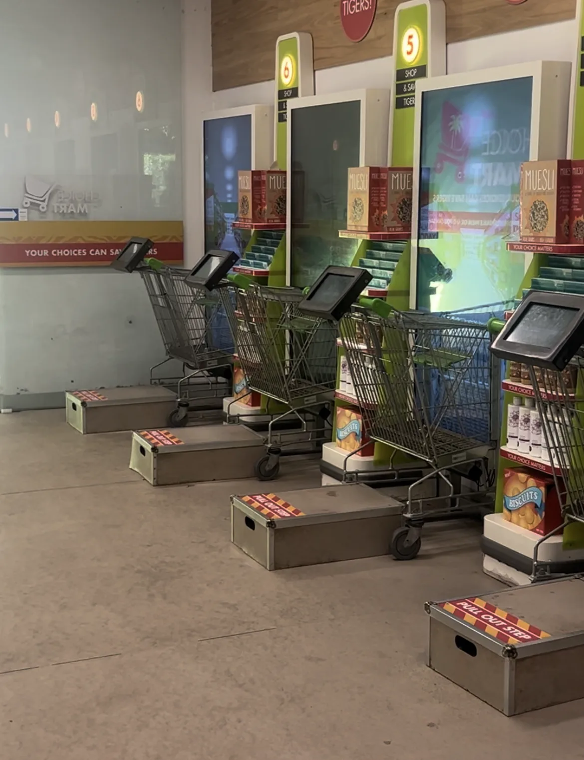 Tarango Zoo Sumatra Tigers