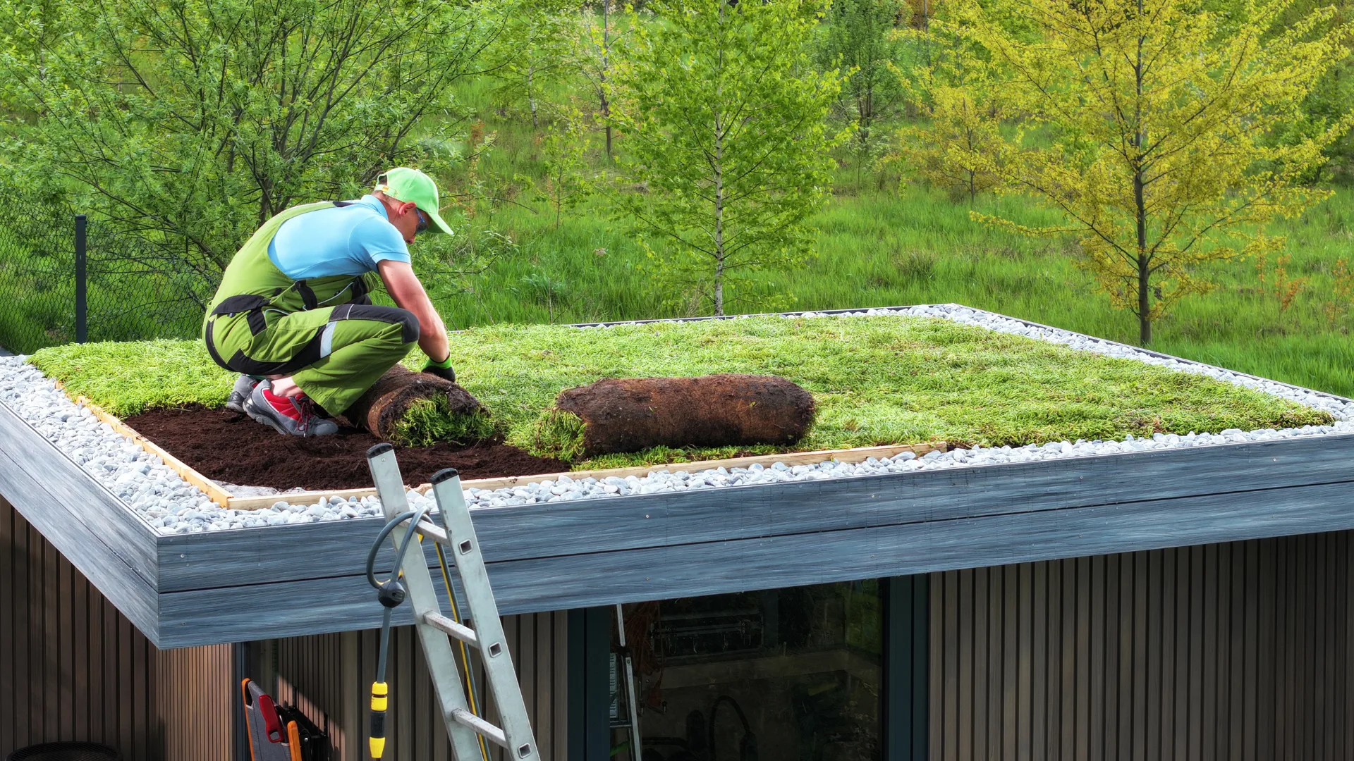 Man laying grass on roof