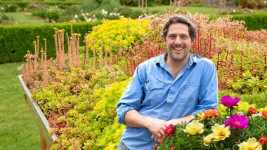 EXCLUSIVE: Charlie Albone reveals how to grow a green roof &ndash; the right way!