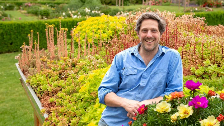 EXCLUSIVE: Charlie Albone reveals how to grow a green roof – the right way!