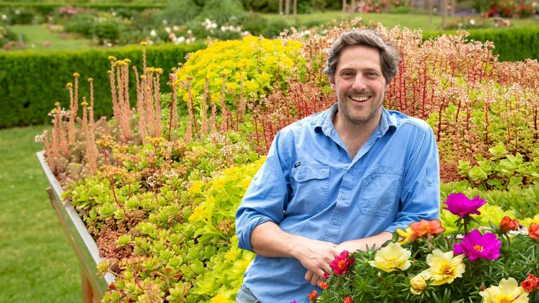 EXCLUSIVE: Charlie Albone reveals how to grow a green roof &ndash; the right way!
