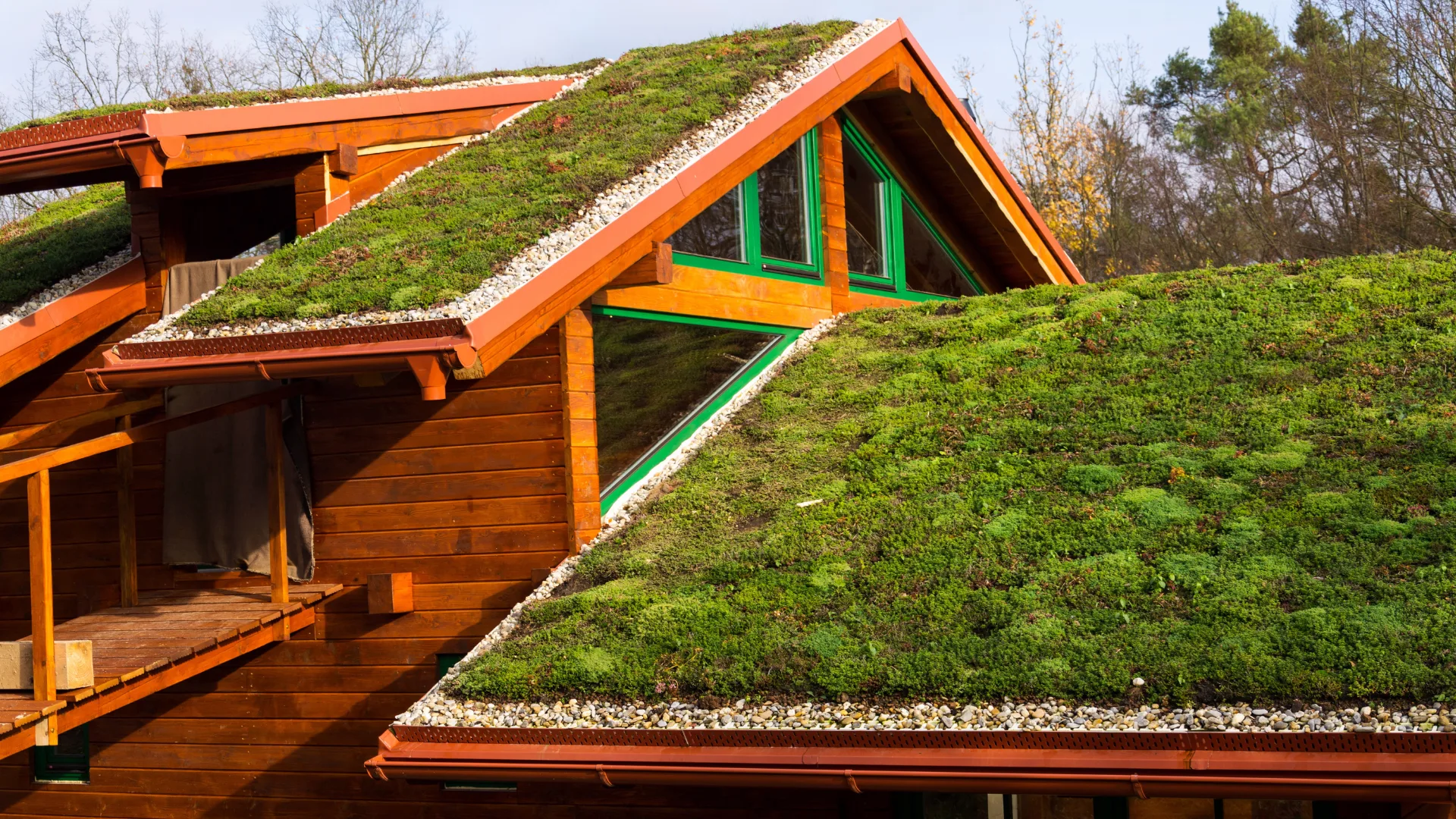 House with green roof