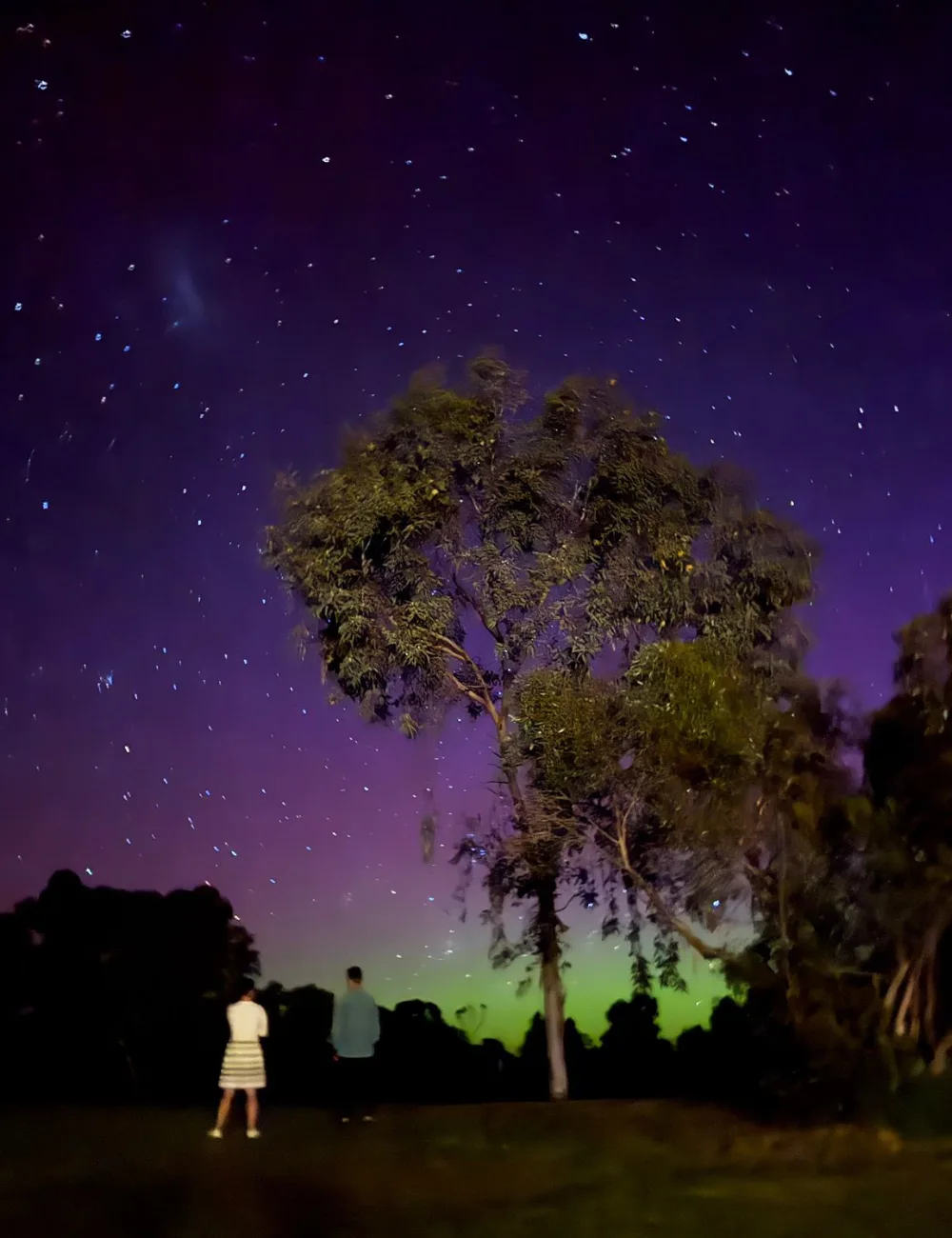 The Aurora Australis in Sunlands.