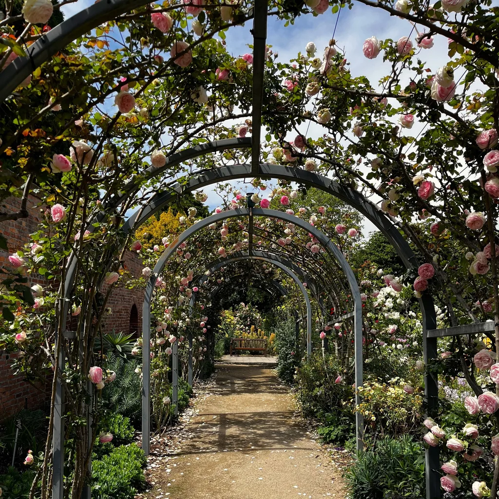 Royal Botanical Gardens Hobart