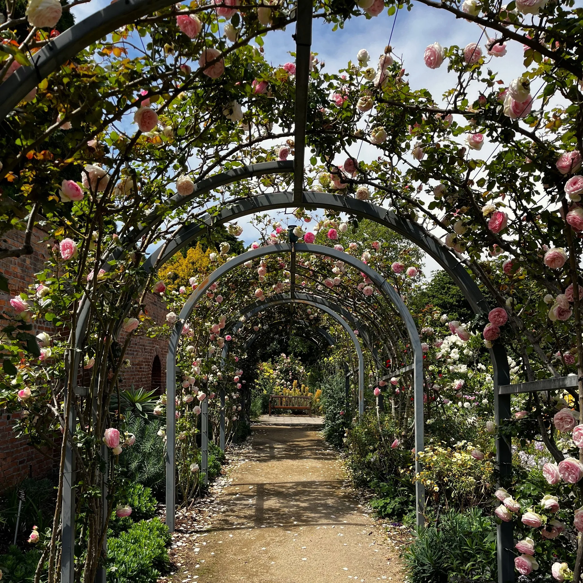 Royal Botanical Gardens Hobart