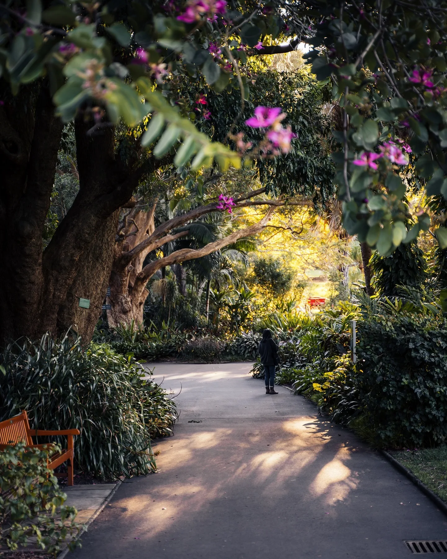 Botanic Gardens of Sydney