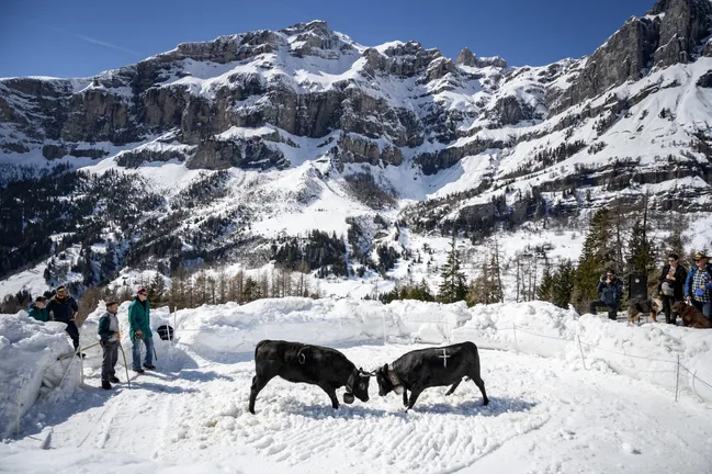 Albinen Switzerland