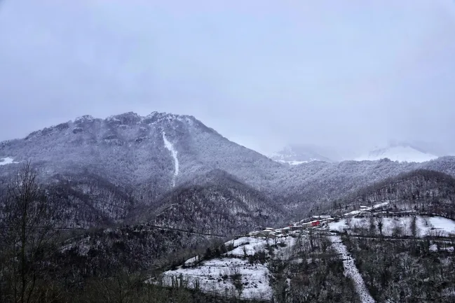 Ponga, Spain