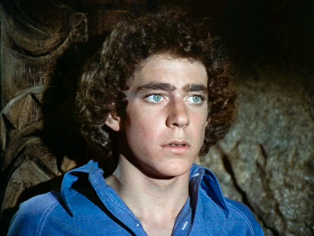 Barry Williams as Greg Brady for The Brady Bunch