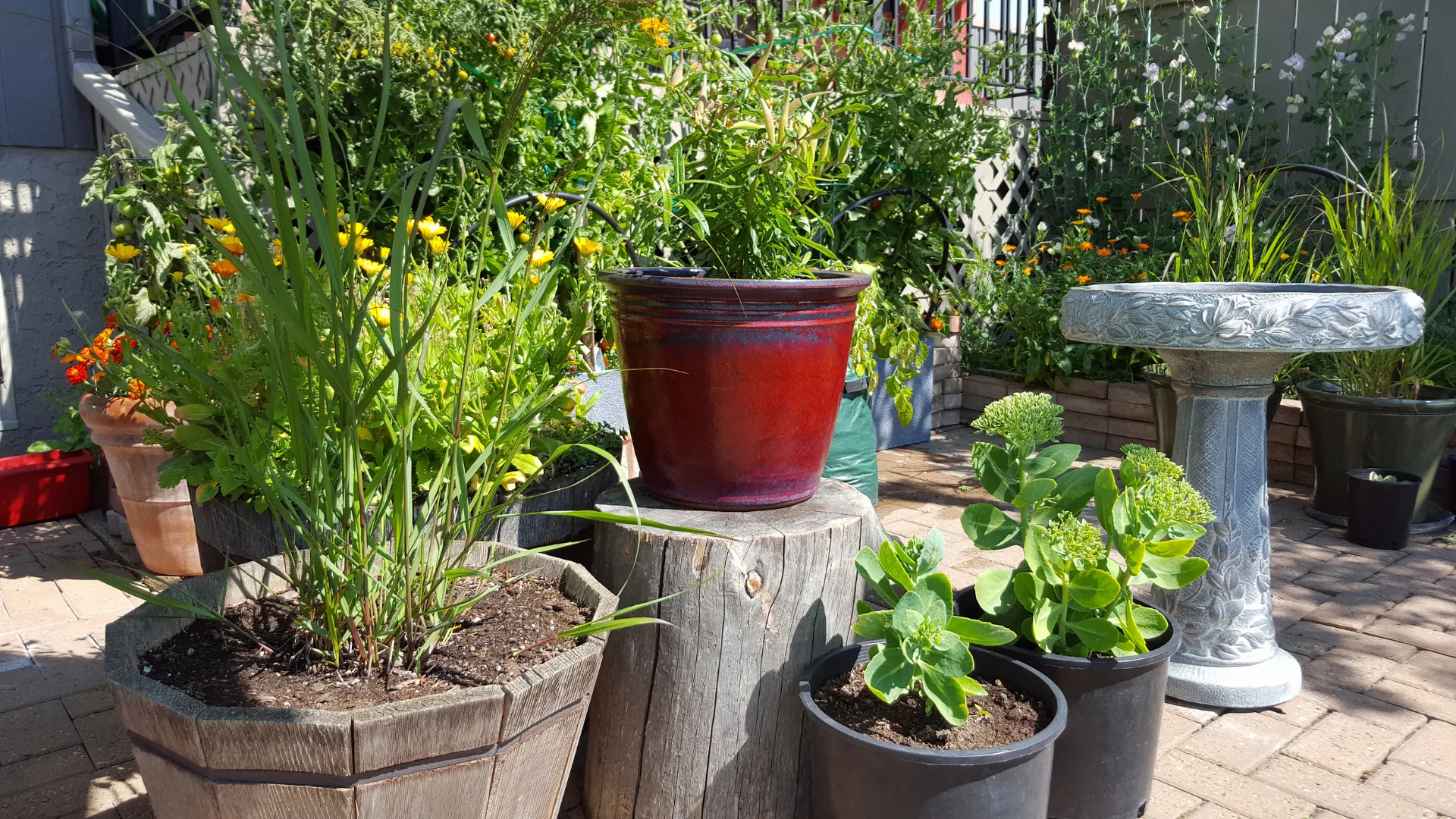 A small courtyard with plant pots.