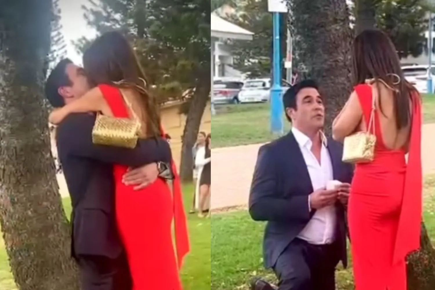 ada nicodemou james stewart engaged