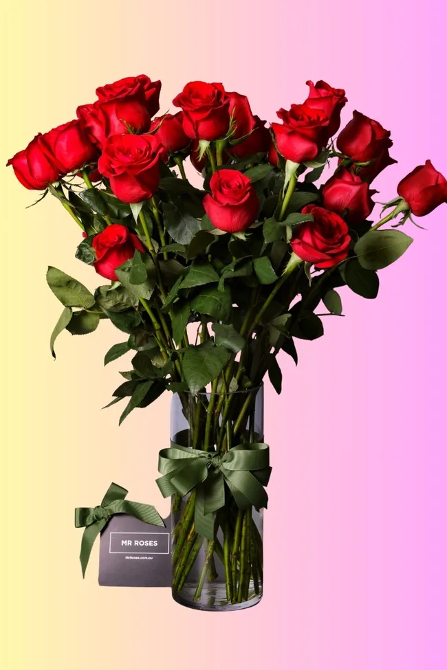 valentines day roses