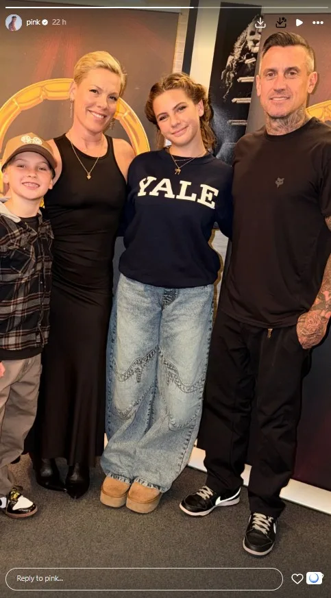 pink carey hart family