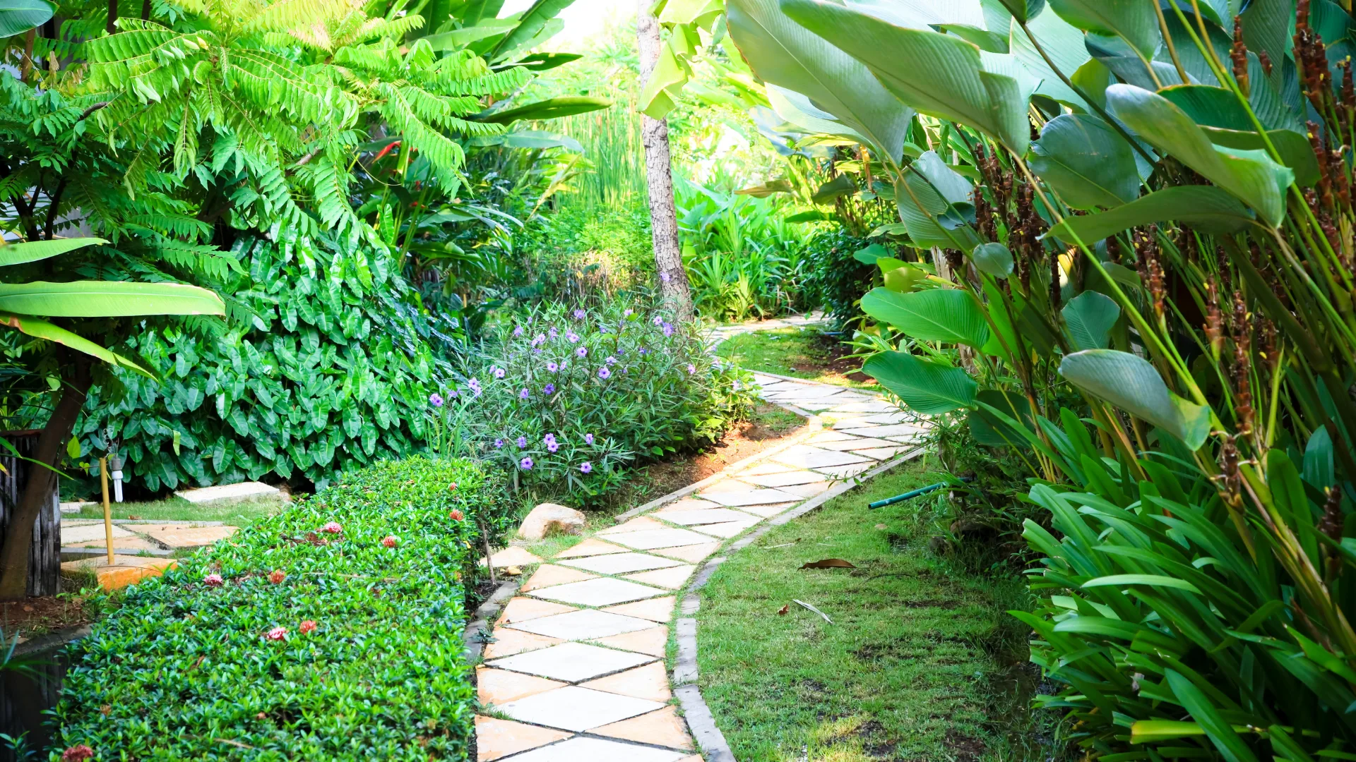 garden with winding pathway