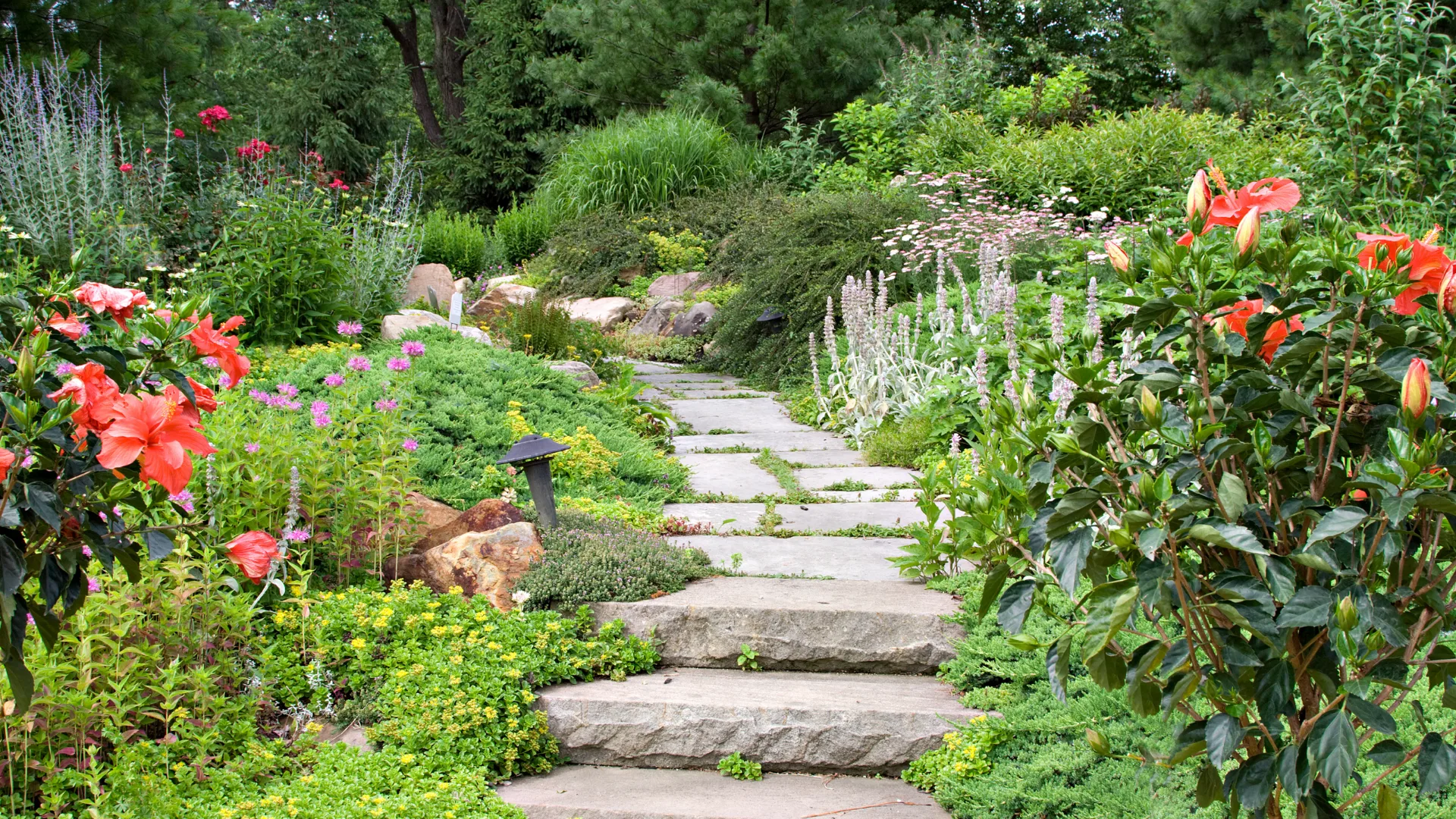 flower garden with stone pathway