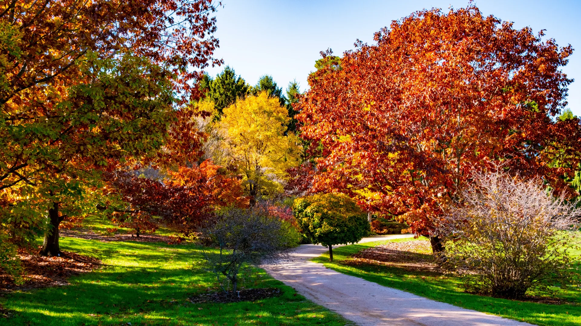 Orange Botanic Gardens, NSW