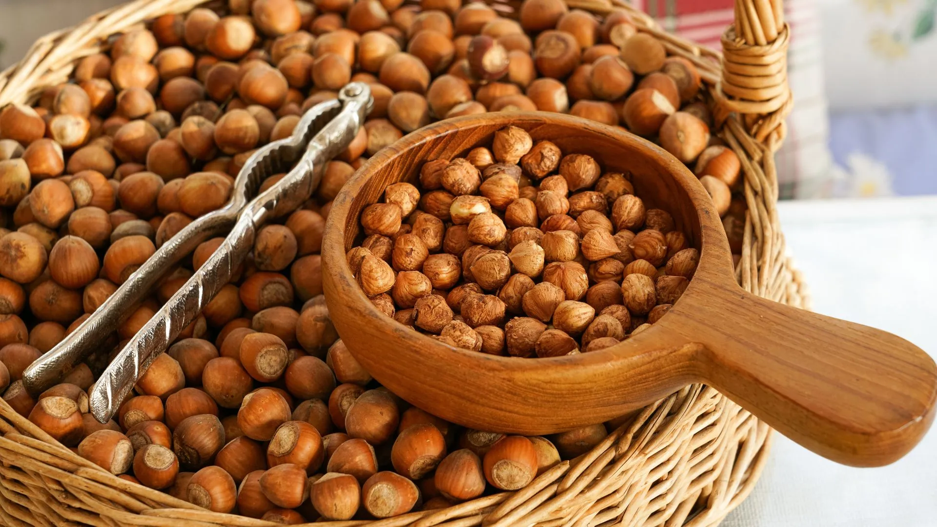 hazelnuts 