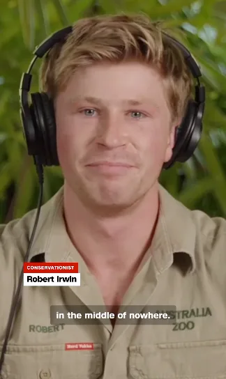 robert irwin
