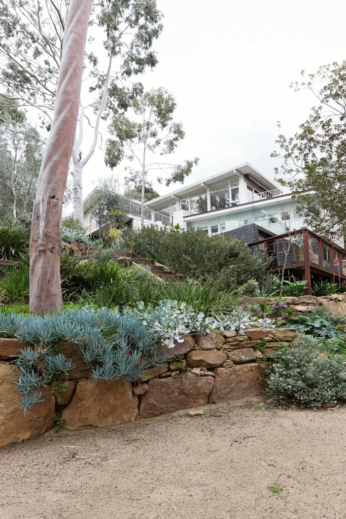 australian house and backyard
