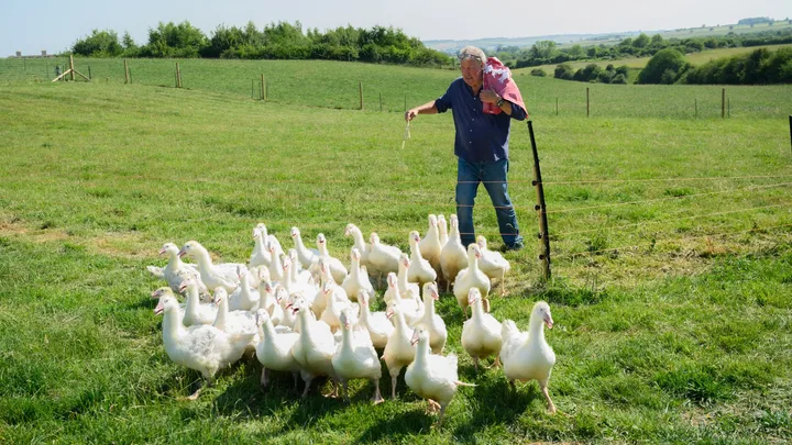 Clarkson's Farm season 5 Jeremy Clarkson