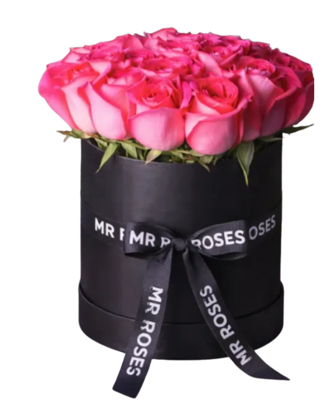 pink roses by mr roses