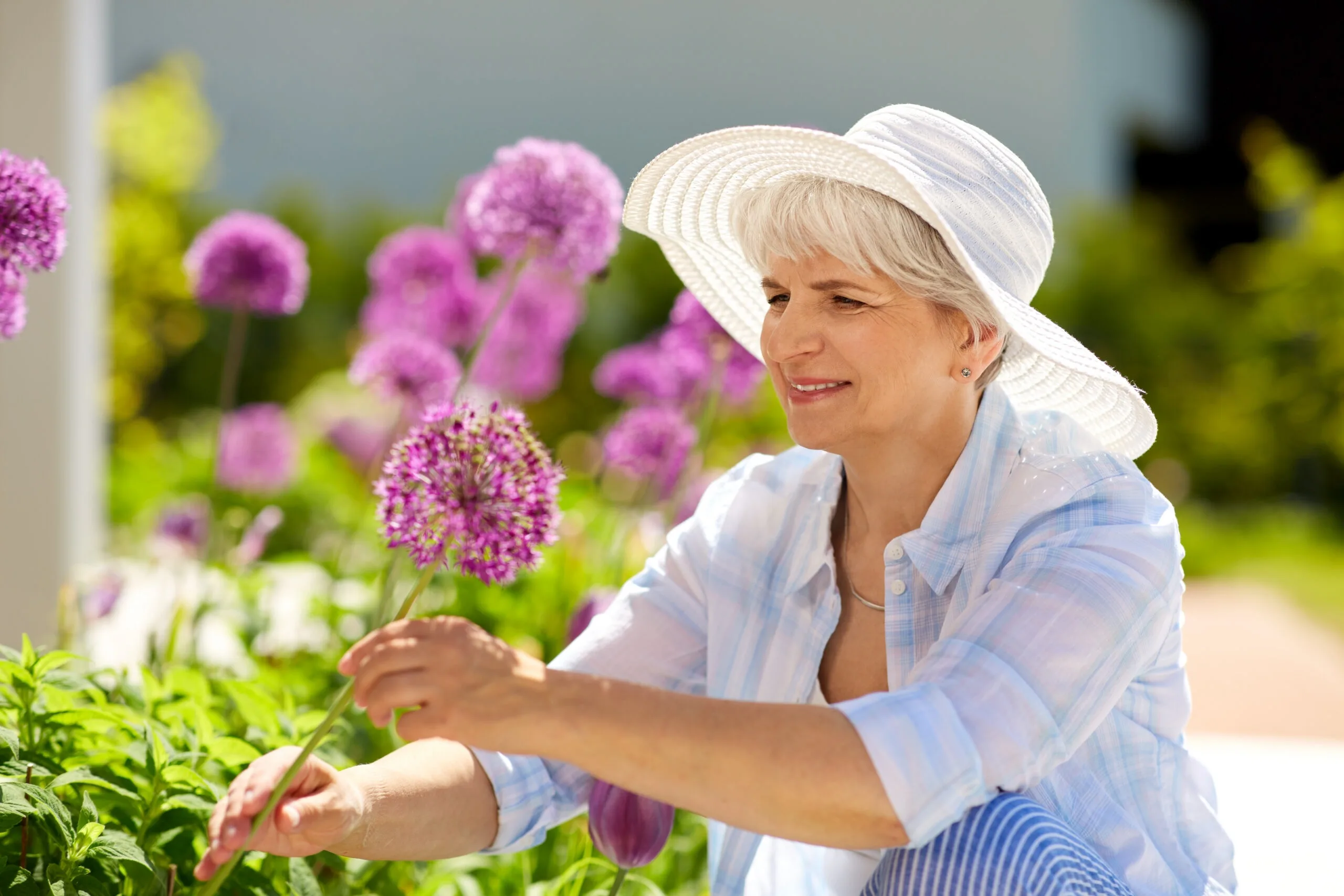 mature women maintaing garden with pink flowers and wearing a hat