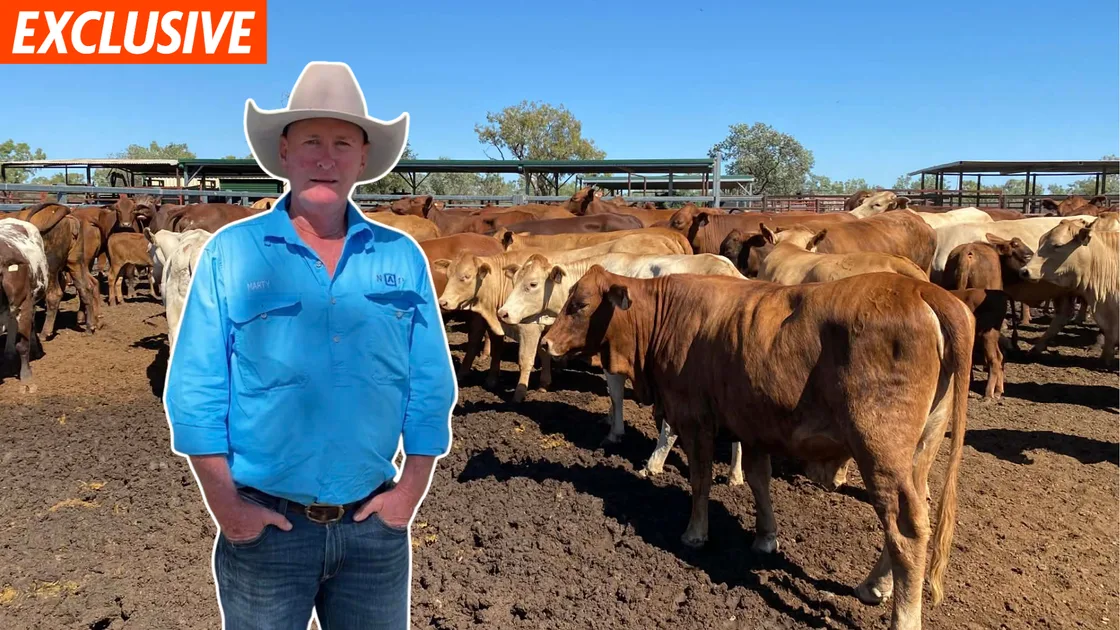 EXCLUSIVE: From paddock to plate – Inside one of Australia’s biggest cattle stations