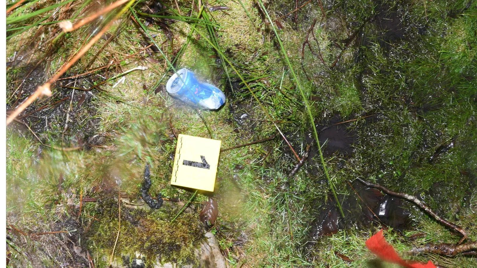 Red Bull can left at crime scene