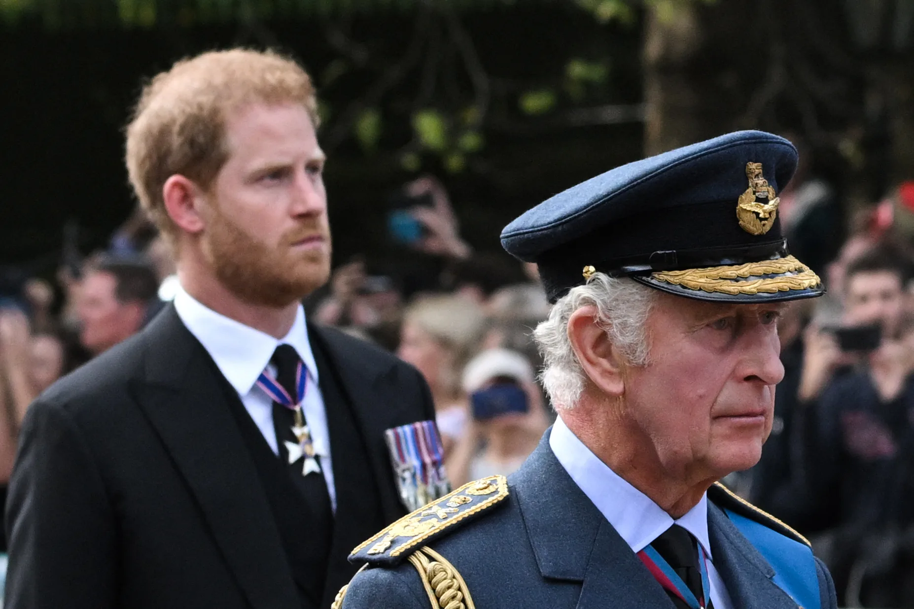 king charles prince harry