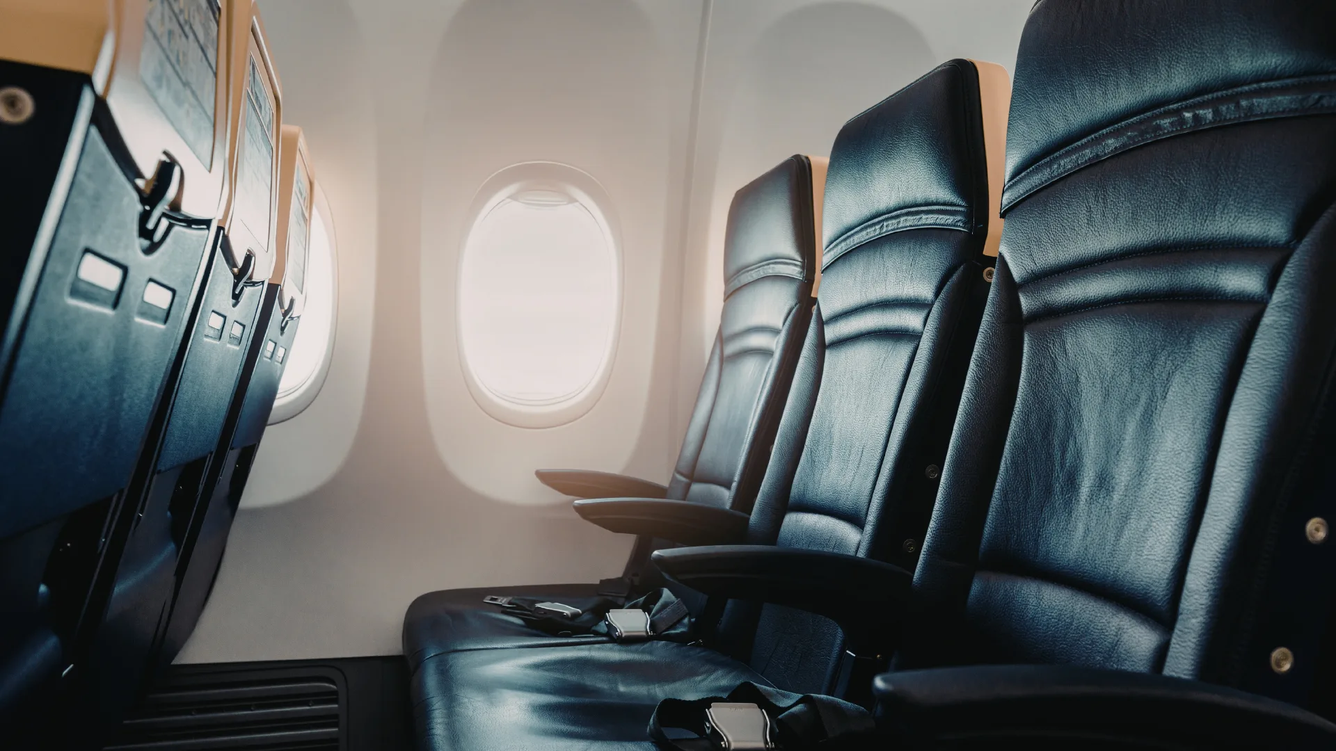Interior of plane