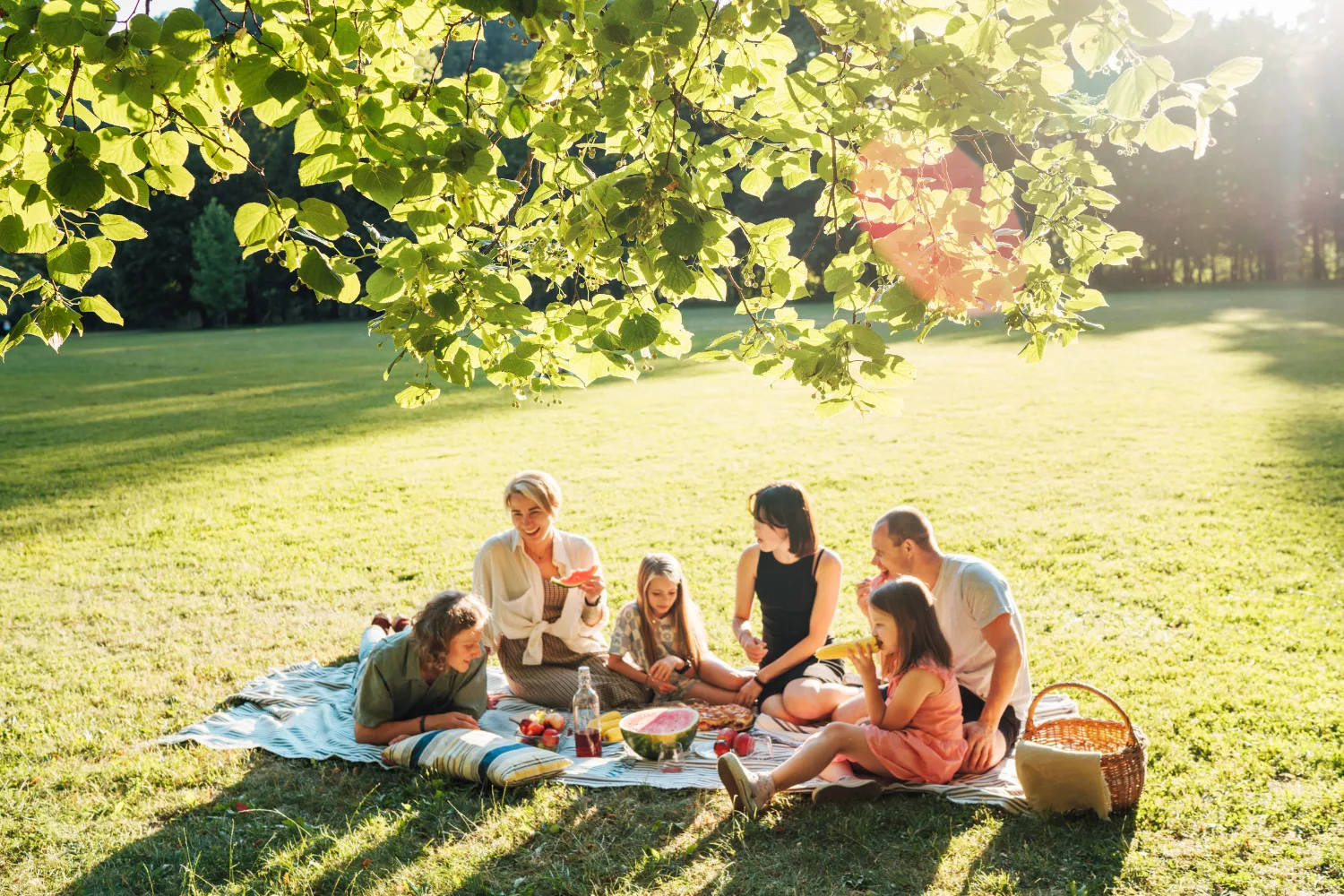 a family sitting having a picnic under a shady tree 