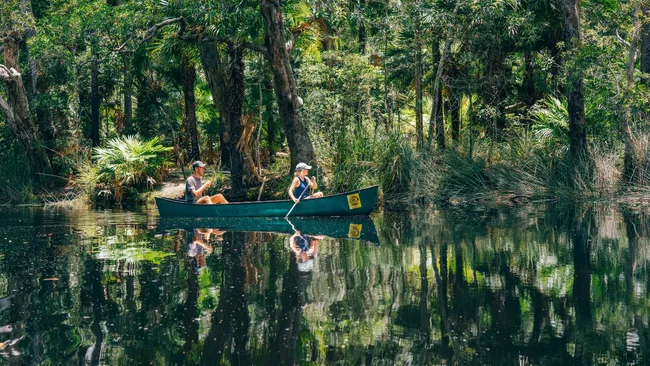 Kayaking Noosa Everglades