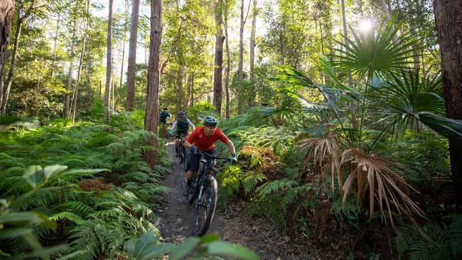 Mountain biking Sunshine Coast