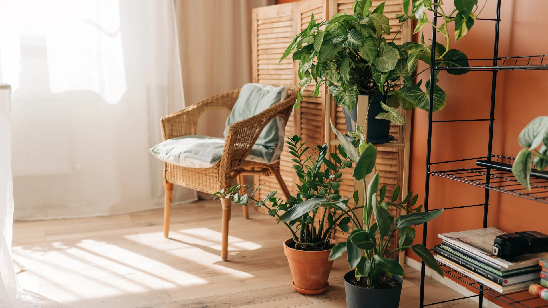 Room corner with sunlight filtering in