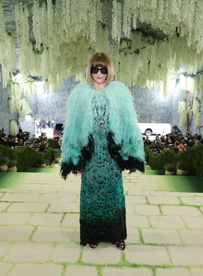 Anna Wintour 2026 Met Gala