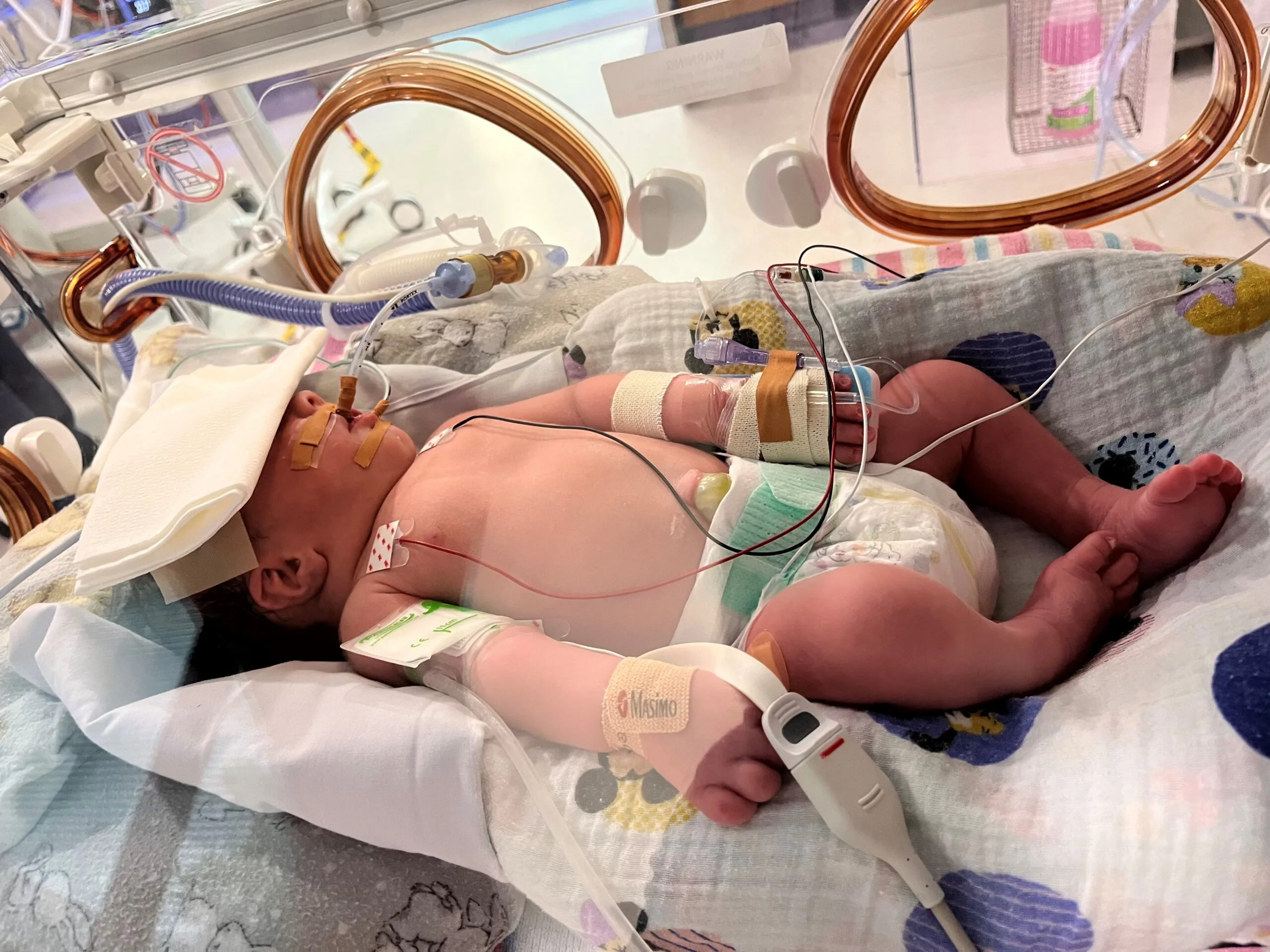 Emma Piccolotto's baby Marcus