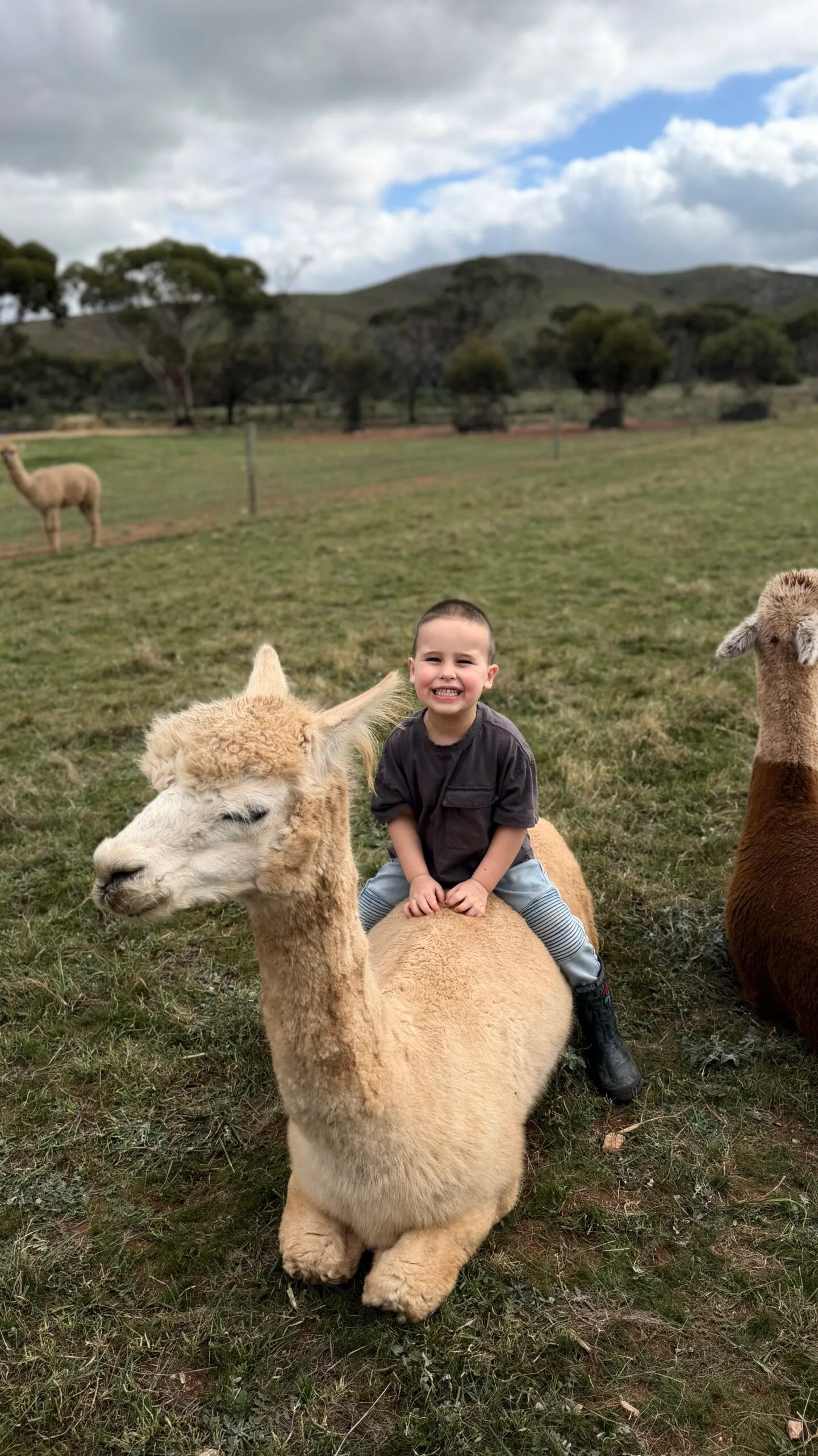 Hudson enjoying outdoor play; Michelle Reedy says he loved being outside and it took about six months for his cheeky personality to return following the overdose.