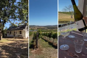 mayfield vineyard in orange
