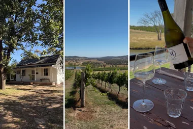 mayfield vineyard in orange