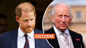 prince harry king charles
